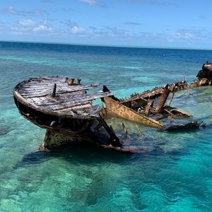 Meet your Posher, Payton